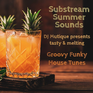 Substream Summer Sounds - Groovy Funky House Tunes